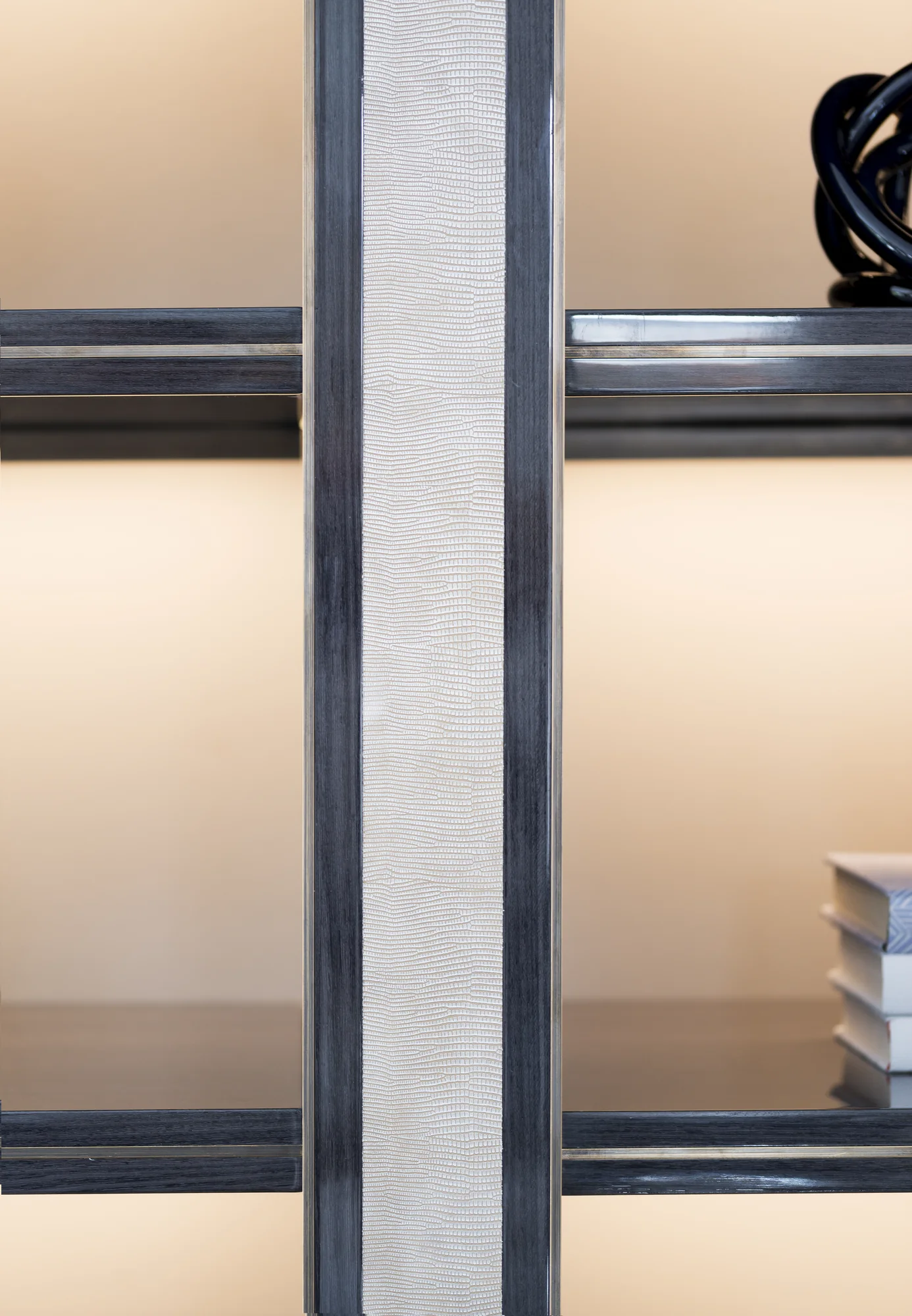 Leather and brass bookcase detail